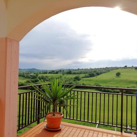 Agriturismo Podere Verdicchio Scansano Dış mekan fotoğraf