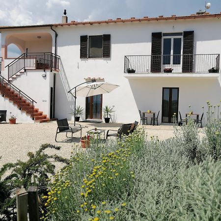 Agriturismo Podere Verdicchio Scansano Dış mekan fotoğraf