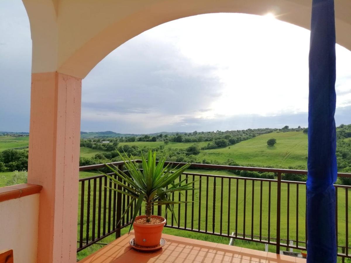 Agriturismo Podere Verdicchio Scansano Dış mekan fotoğraf
