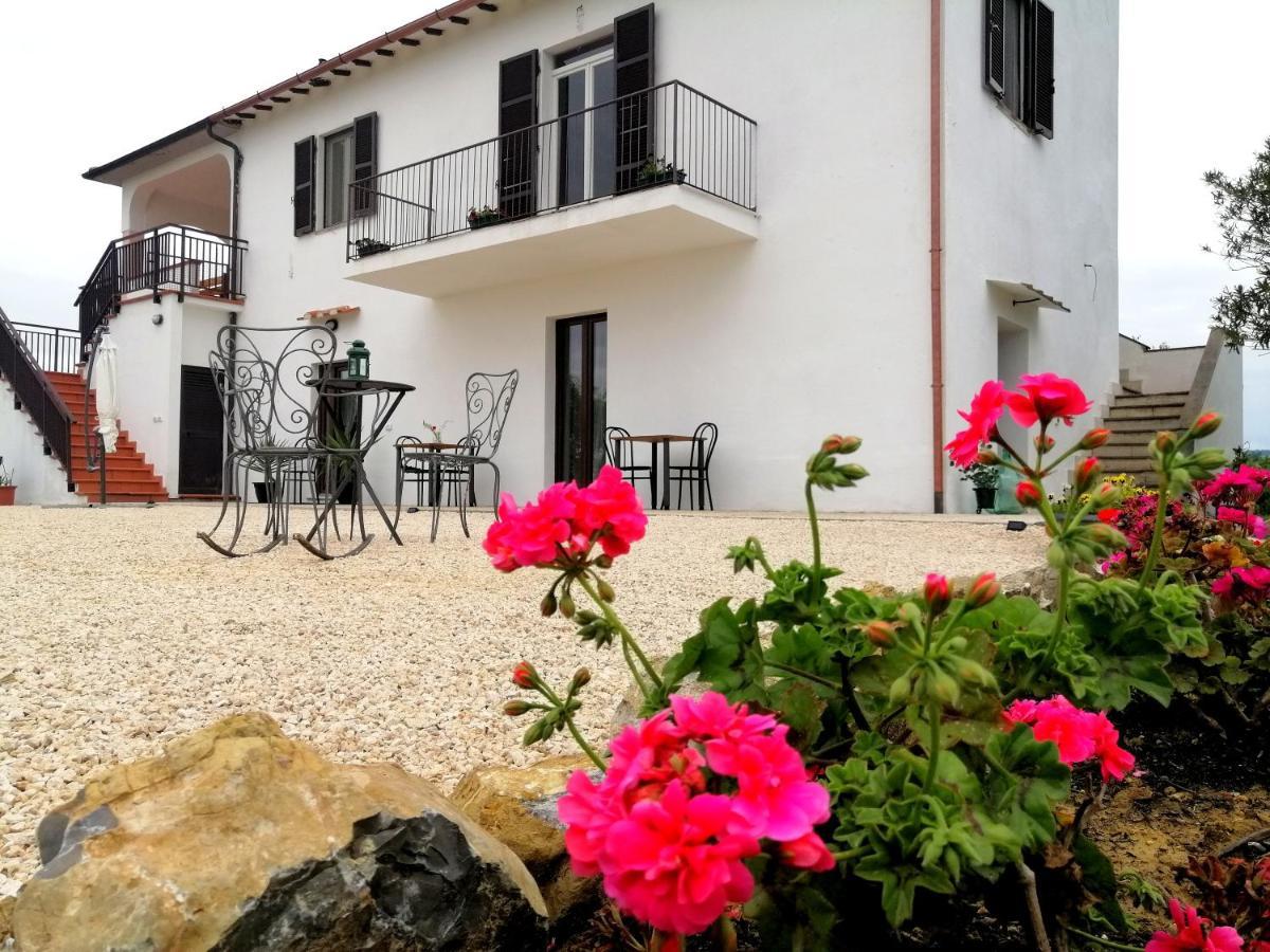 Agriturismo Podere Verdicchio Scansano Dış mekan fotoğraf