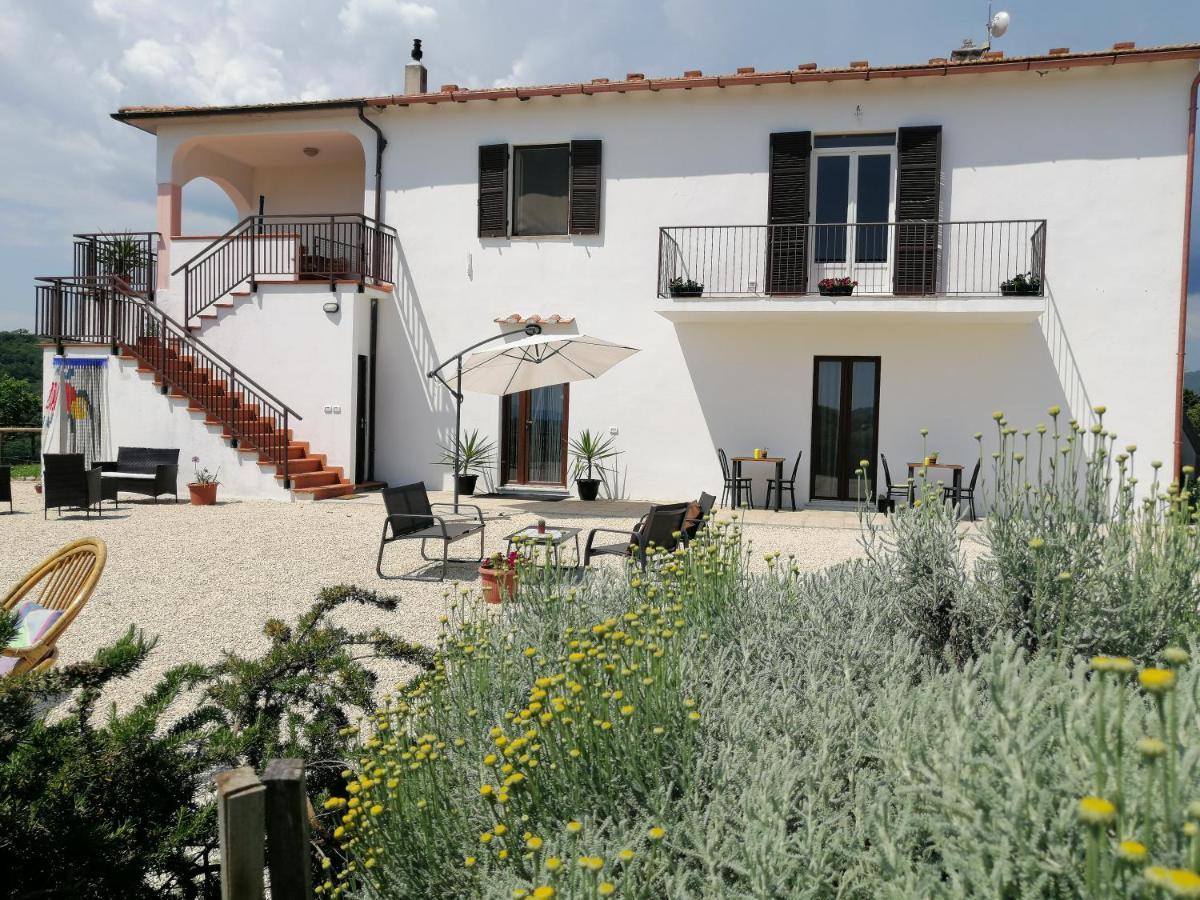 Agriturismo Podere Verdicchio Scansano Dış mekan fotoğraf