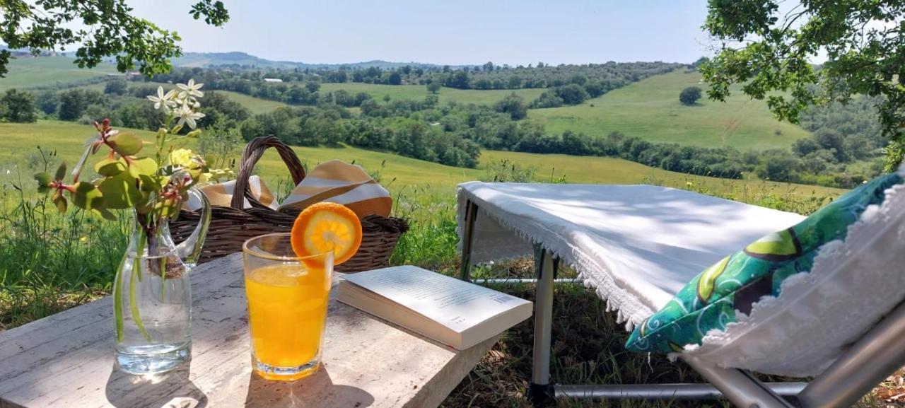 Agriturismo Podere Verdicchio Villa Scansano Dış mekan fotoğraf